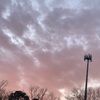 katya_34359